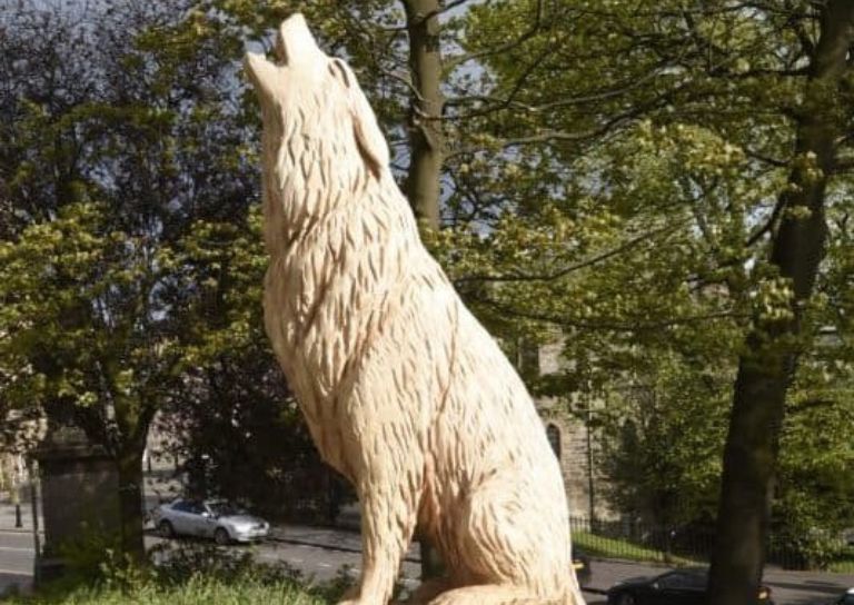 The Stirling Wolf wood carving, on the Back Walk trail.